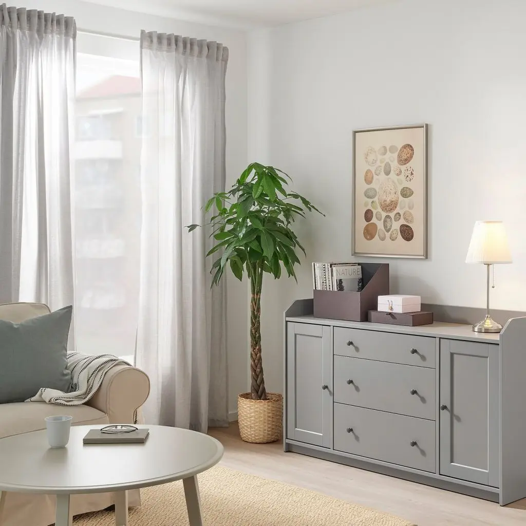 ANILINARE АНИЛИНАРЕ — изображение 2