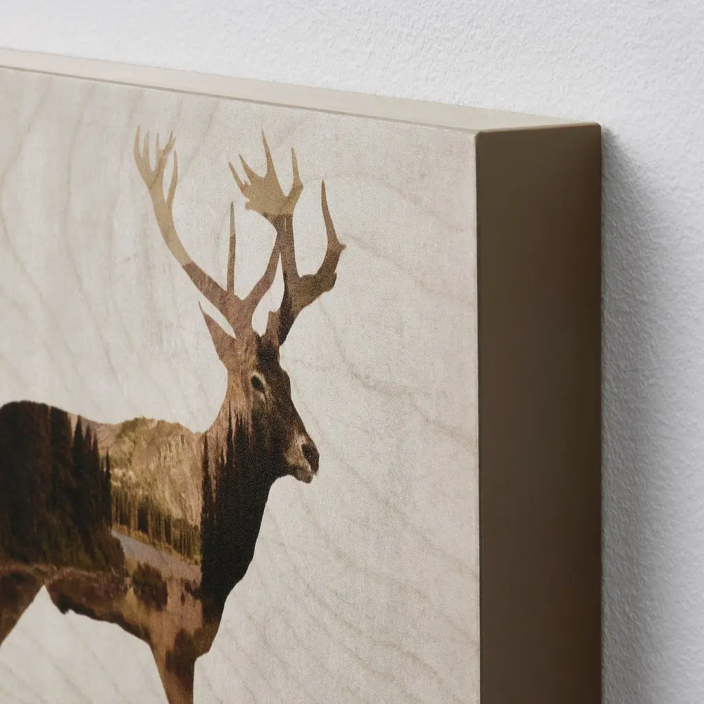 BJÖRNAMO БЬЁРНАМО — изображение 3