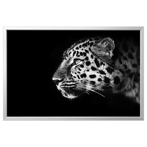 BJÖRKSTA БЬЁРКСТА