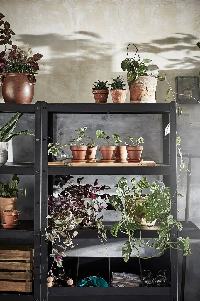 BROR БРУР — изображение 2