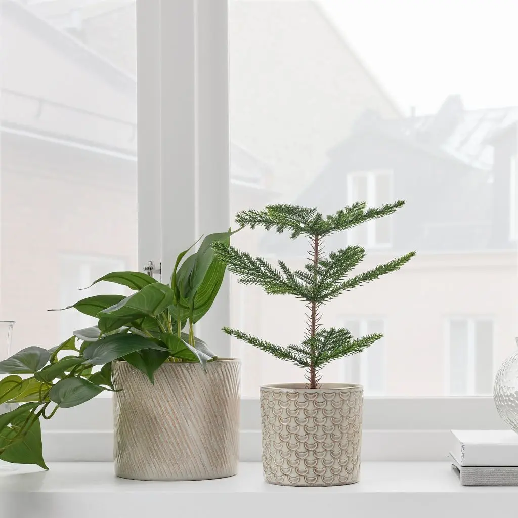 CHIAFRÖN ЧИАФРЁН — изображение 3