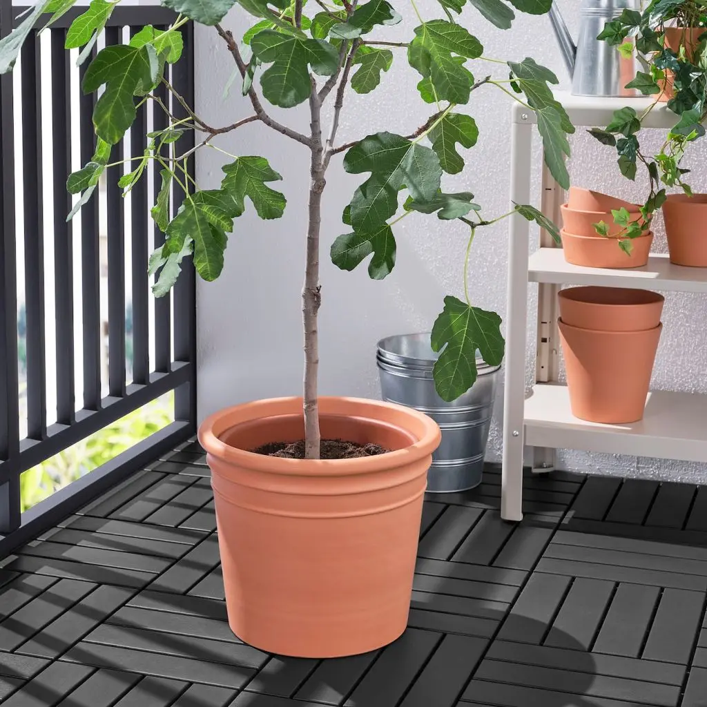 CURRYBLAD КЮРРИБЛАД — изображение 2