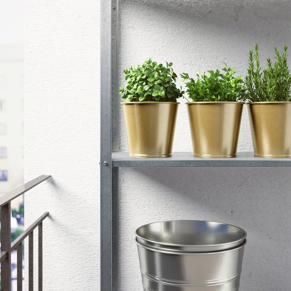 ДЭИДЭИ — изображение 4