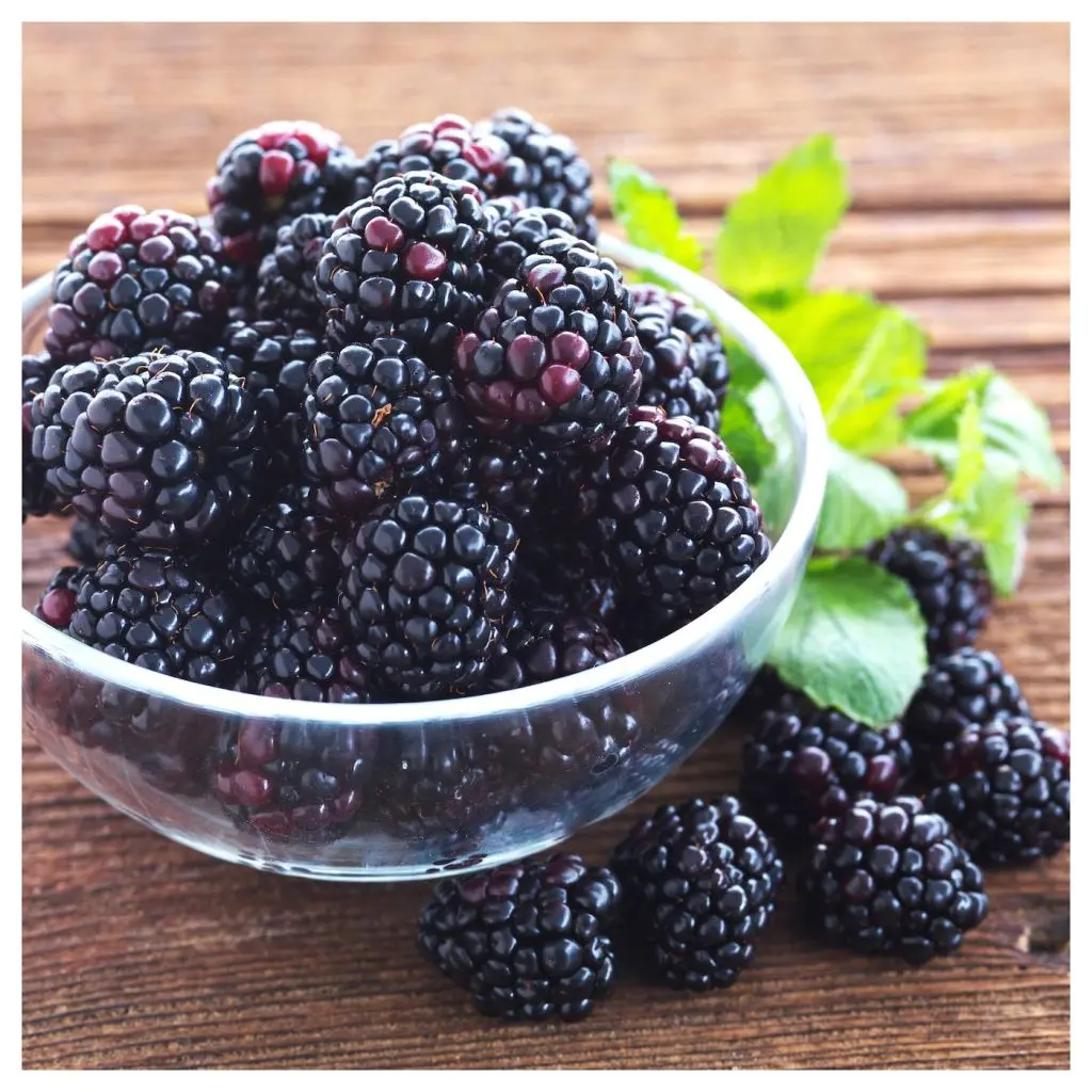 ДОФТА — изображение 4