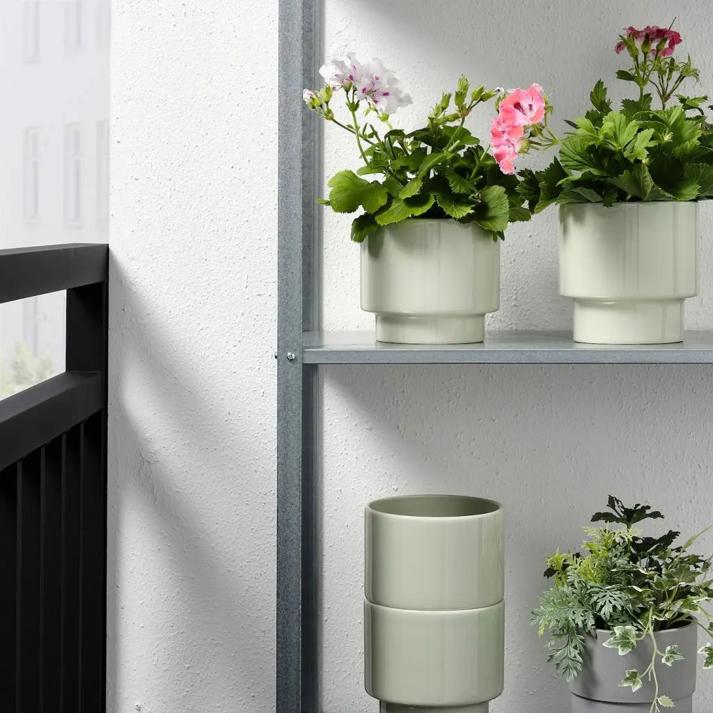 DRAKFRUKT ДРАКФРУКТ — изображение 3