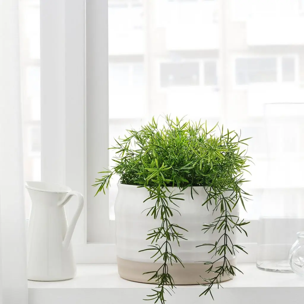 FALLENHET ФАЛЛЕНХЕТ — изображение 2