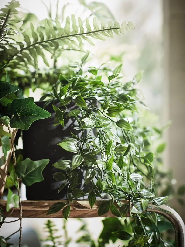 ФЕЙКА — изображение 7