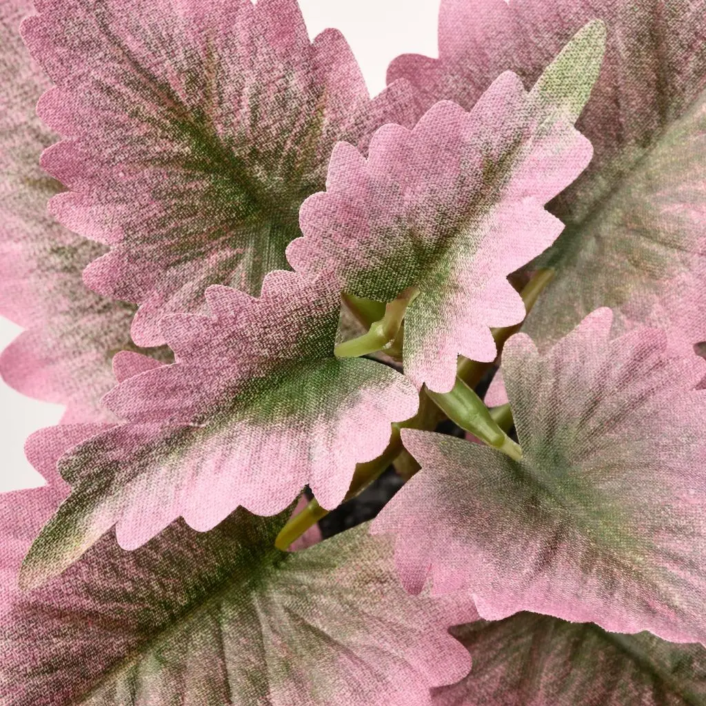 FEJKA ФЕЙКА — изображение 3