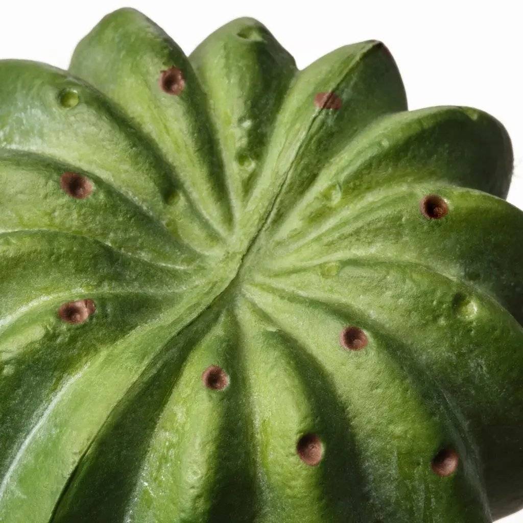 FEJKA ФЕЙКА — изображение 3