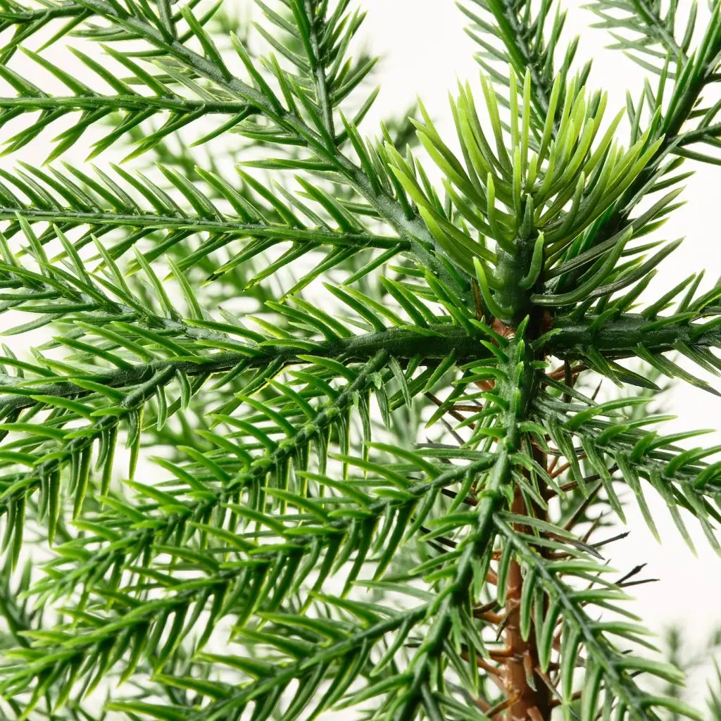 FEJKA ФЕЙКА — изображение 3