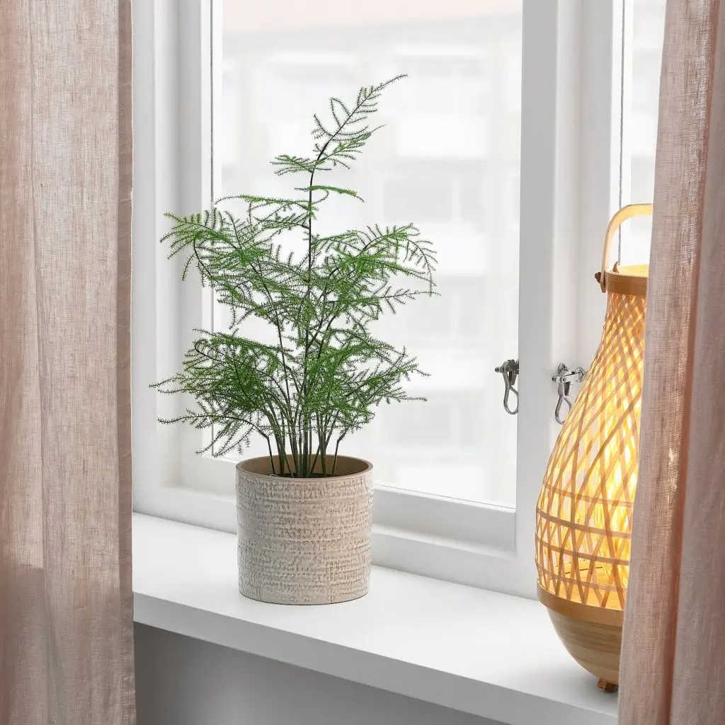 FEJKA ФЕЙКА — изображение 2