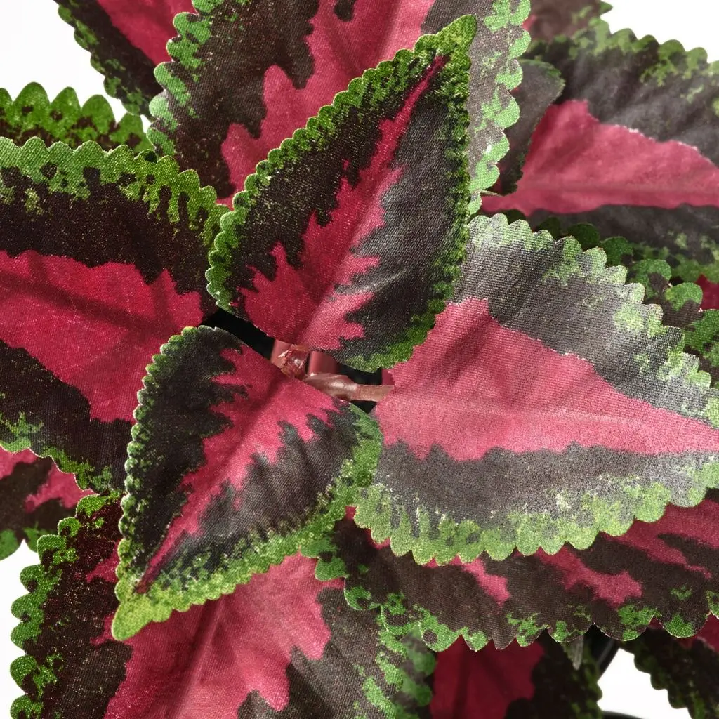 FEJKA ФЕЙКА — изображение 3