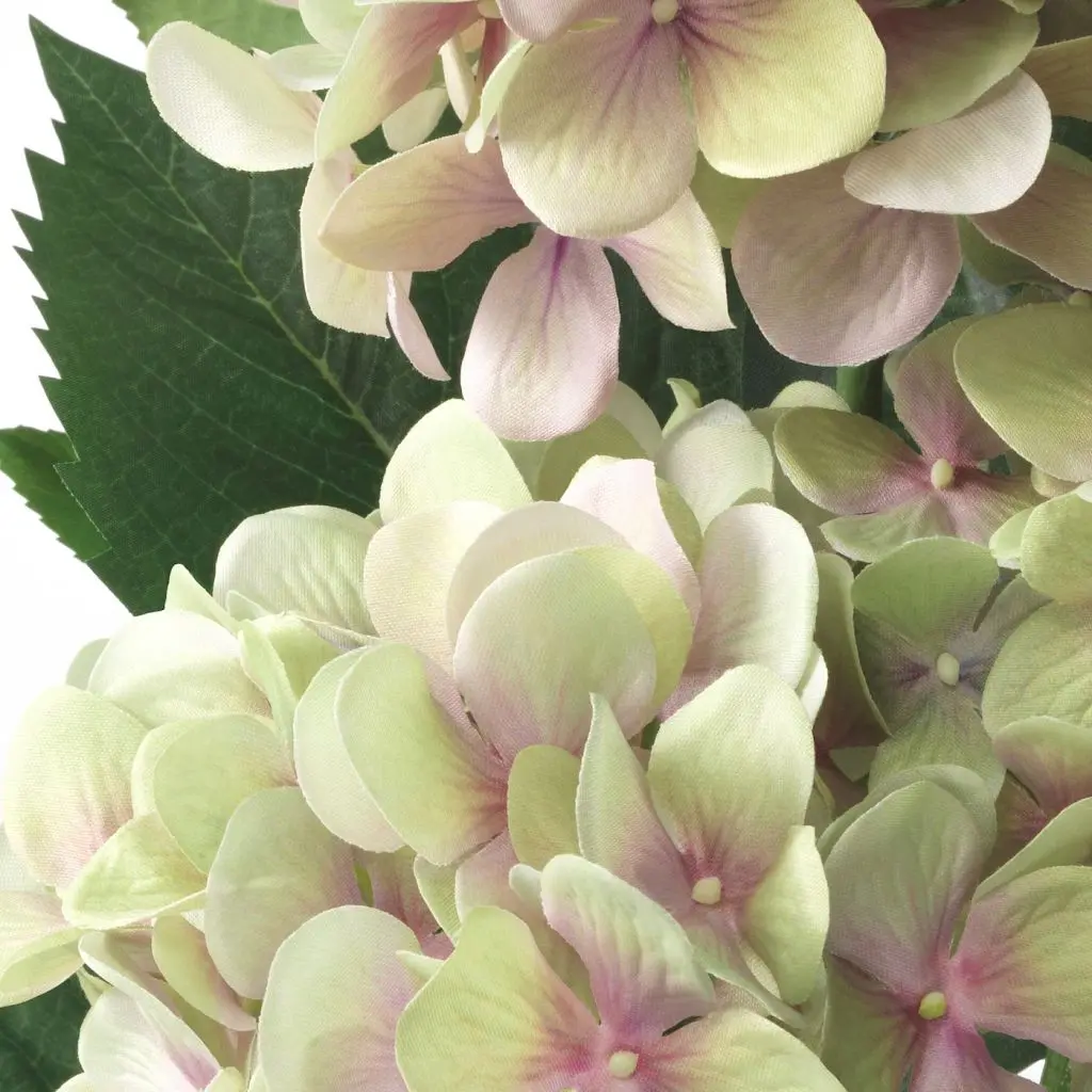 FEJKA ФЕЙКА — изображение 4