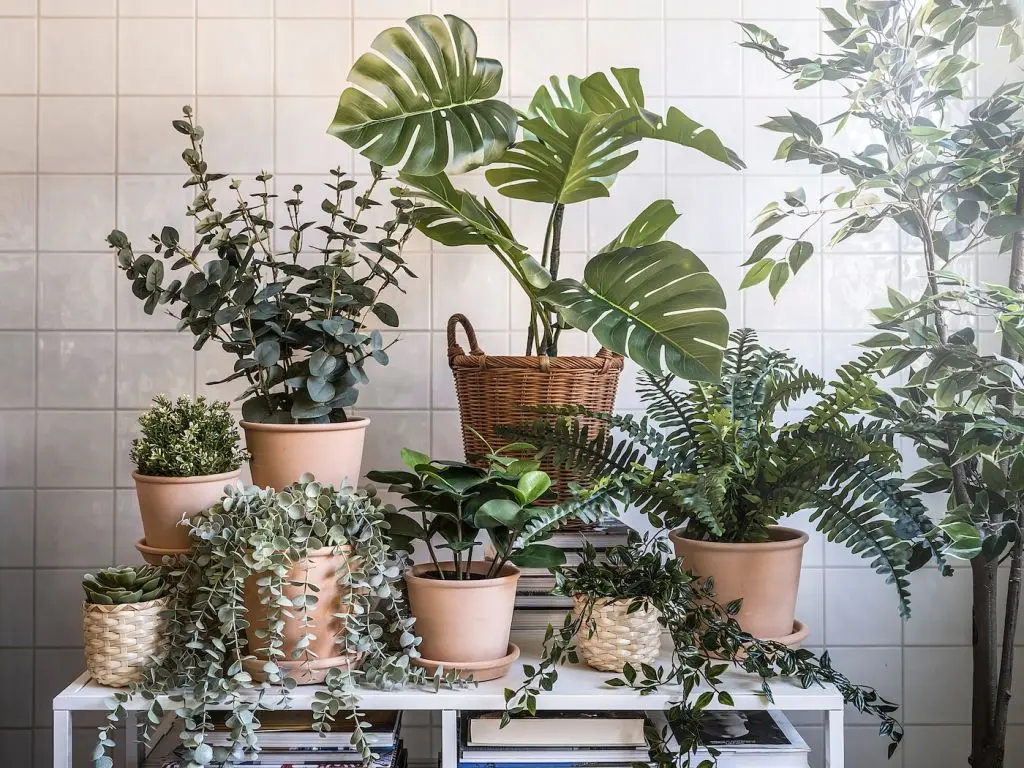 FEJKA ФЕЙКА — изображение 4