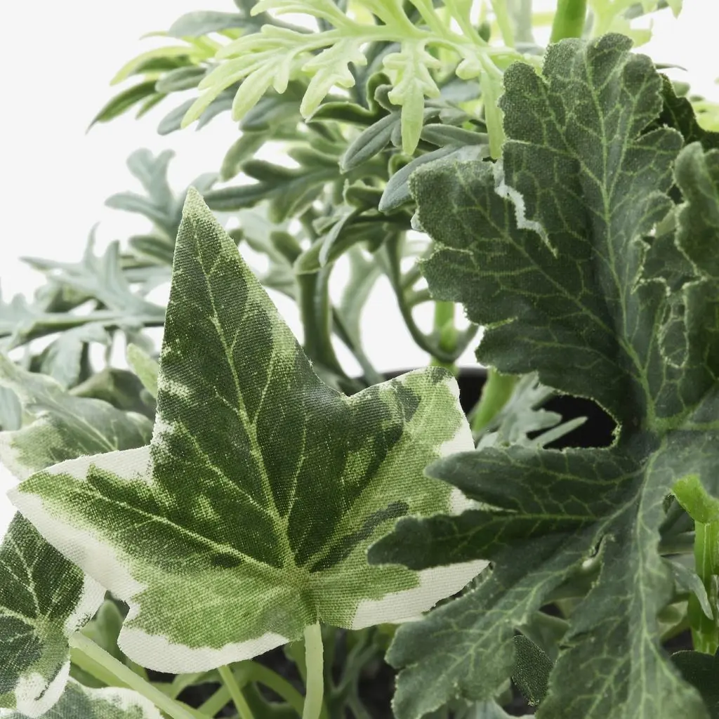 FEJKA ФЕЙКА — изображение 3