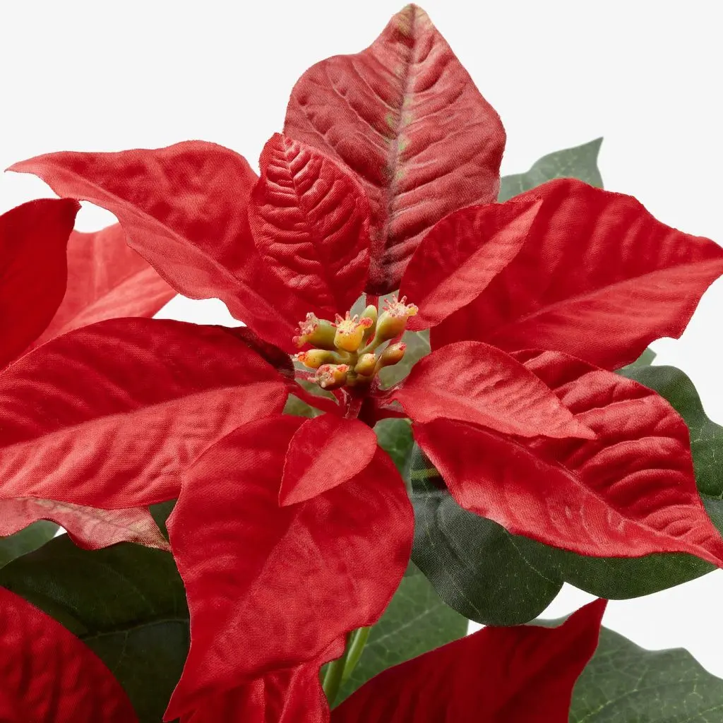 FEJKA ФЕЙКА — изображение 3