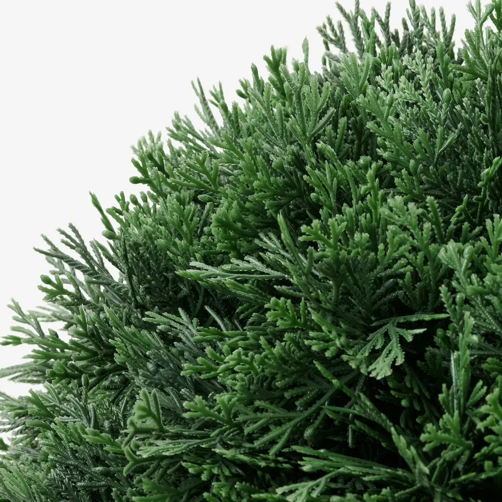 FEJKA ФЕЙКА — изображение 3