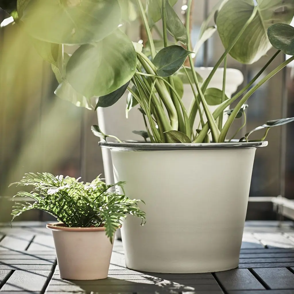 FNITTRIG ФНИТТРИГ — изображение 4