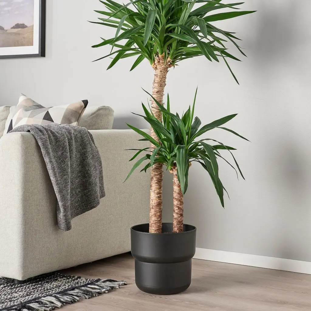 FÖRENLIG ФЁРЕНЛИГ — изображение 2