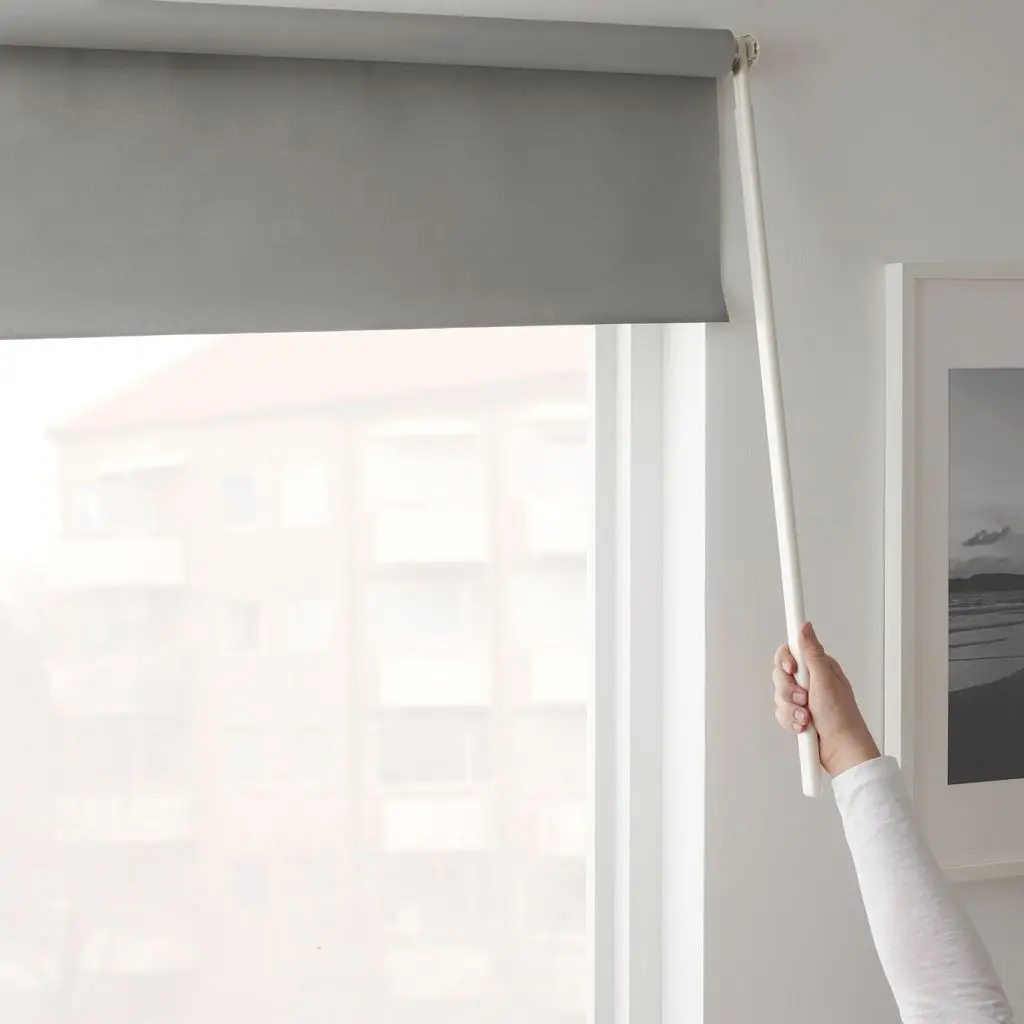 FRIDANS ФРИДАНС — изображение 2