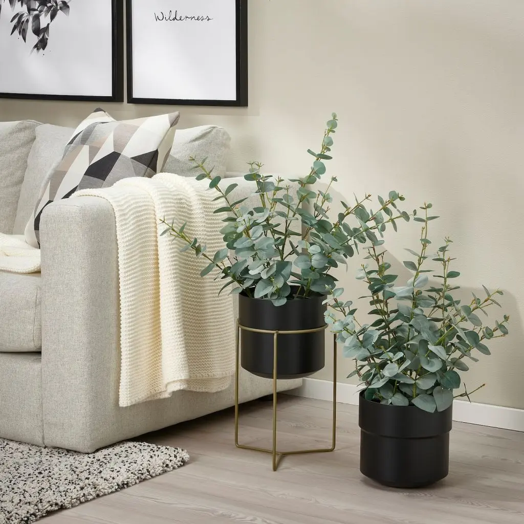 GOJIBÄR ГОЙИБЭР — изображение 2