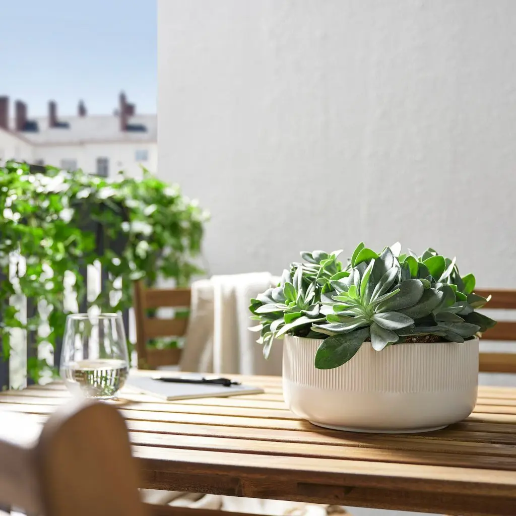 GRADVIS ГРАДВИС — изображение 3