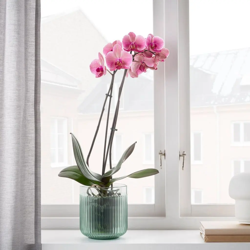 GRADVIS ГРАДВИС — изображение 3