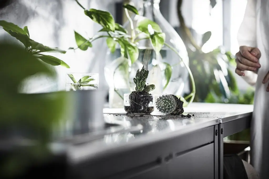 GRILLSKÄR ГРИЛЛЬСКЭР — изображение 8