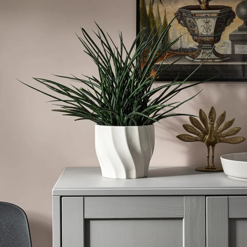 GYLLENBÄR ГЮЛЛЕНБЭР — изображение 2