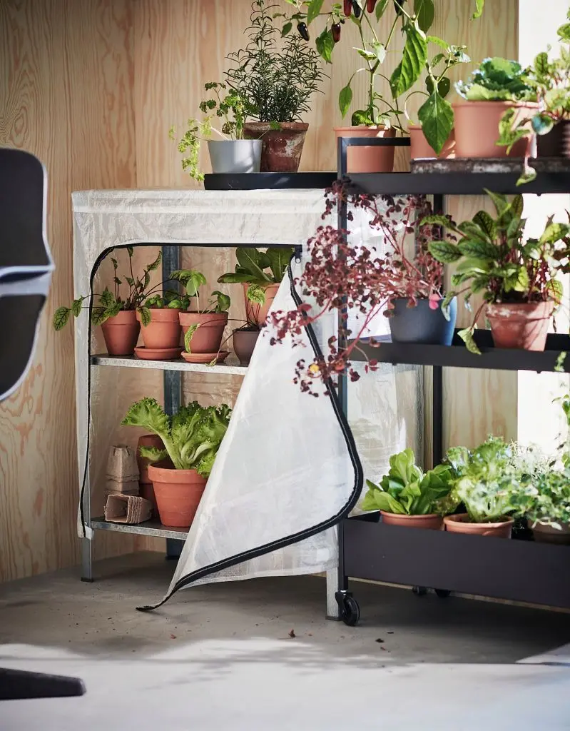 ХИЛЛИС — изображение 8