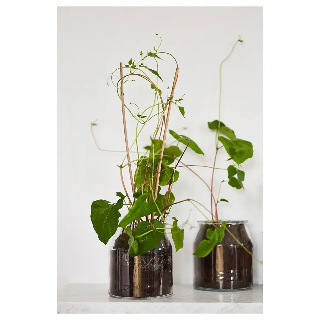 ИКЕА/365+ — изображение 4