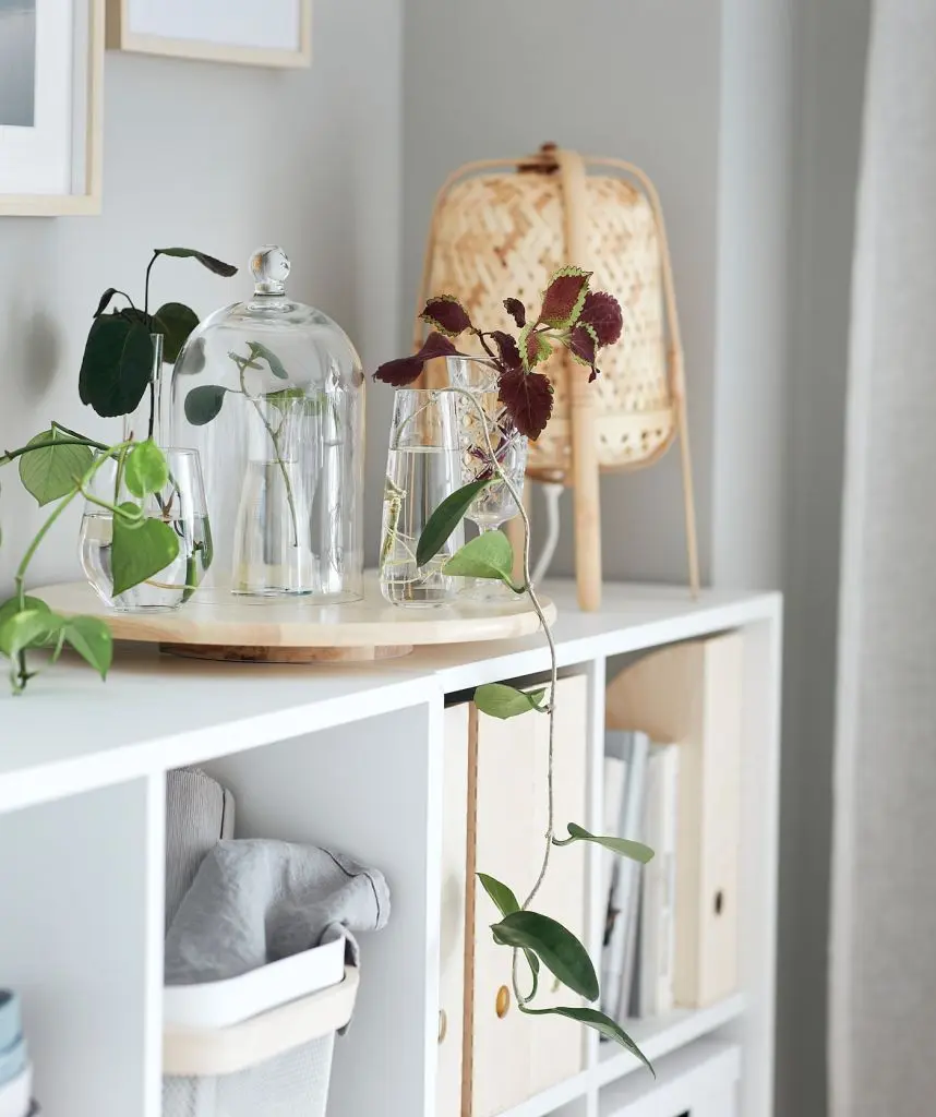 ИВРИГ — изображение 3