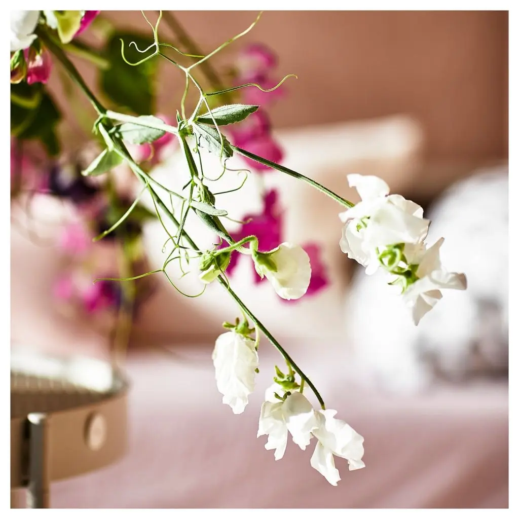 JÄMNMOD ЯМНМУД — изображение 3