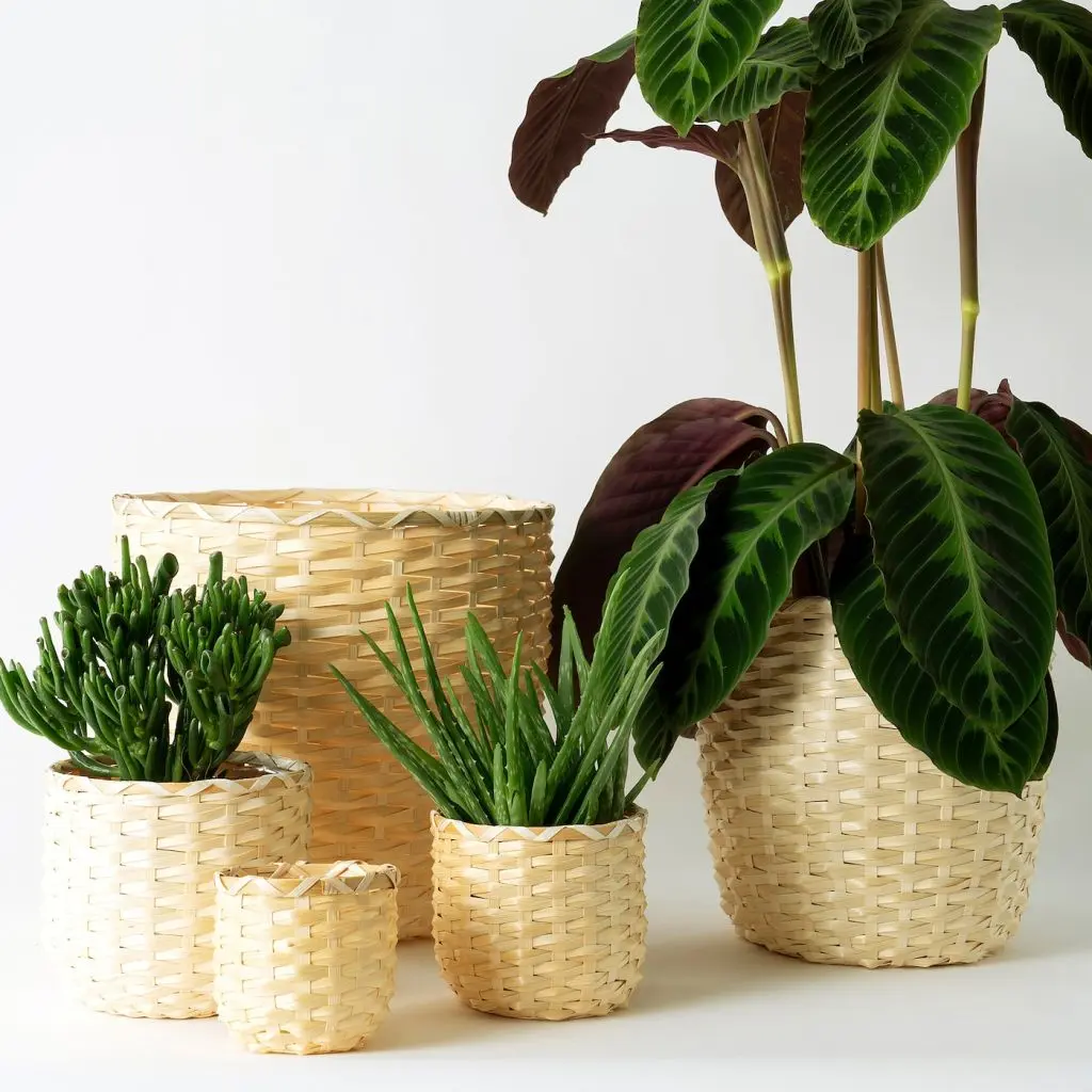 КАФФЕБОНА — изображение 5