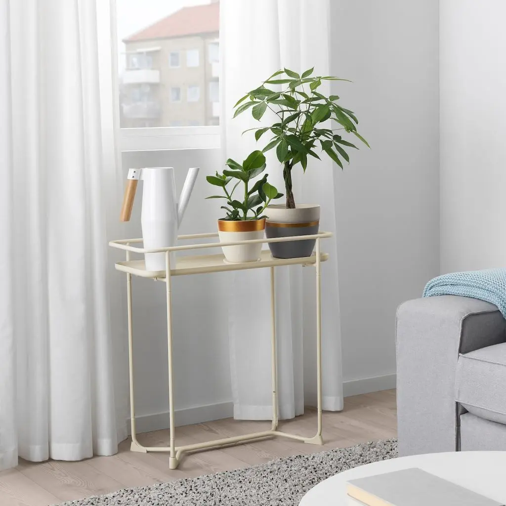 ЛАЙМПЕППАР — изображение 3