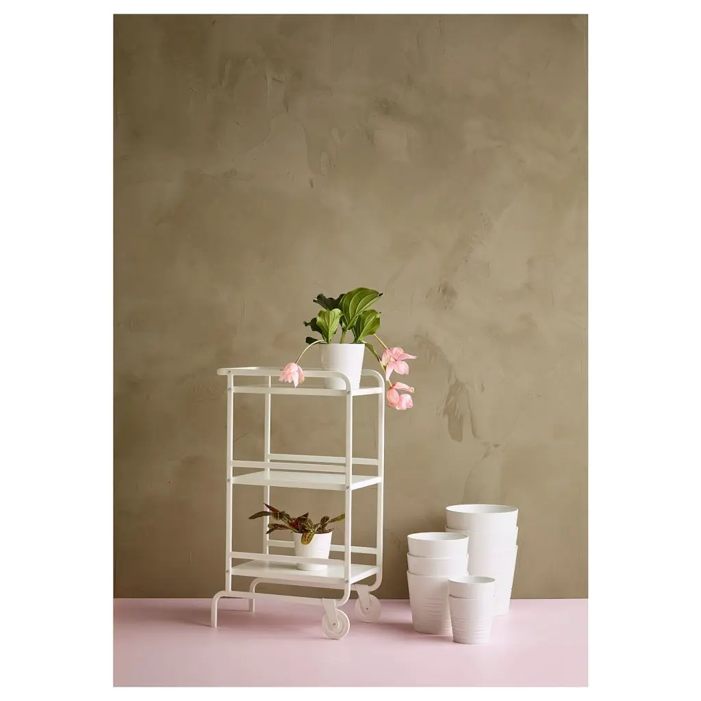 МУСКОТ — изображение 5