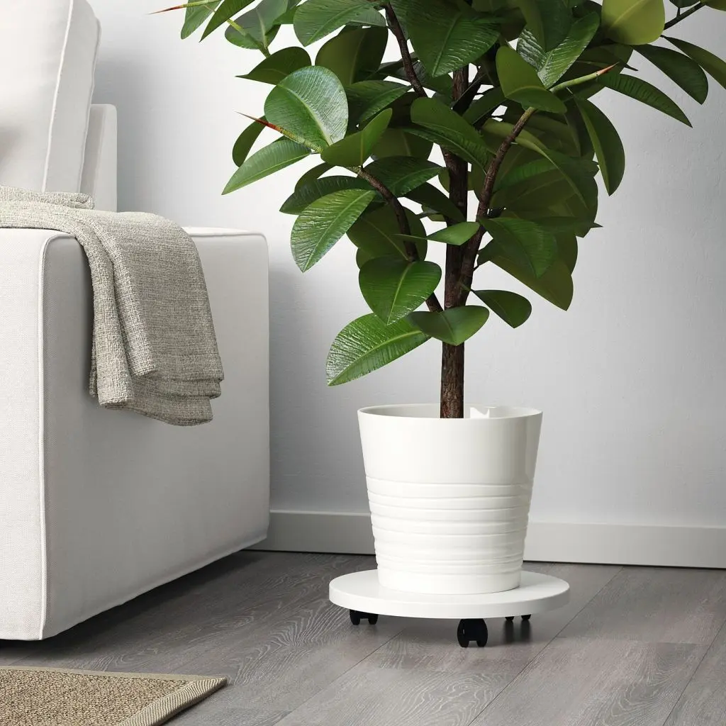 МУСКОТ — изображение 2