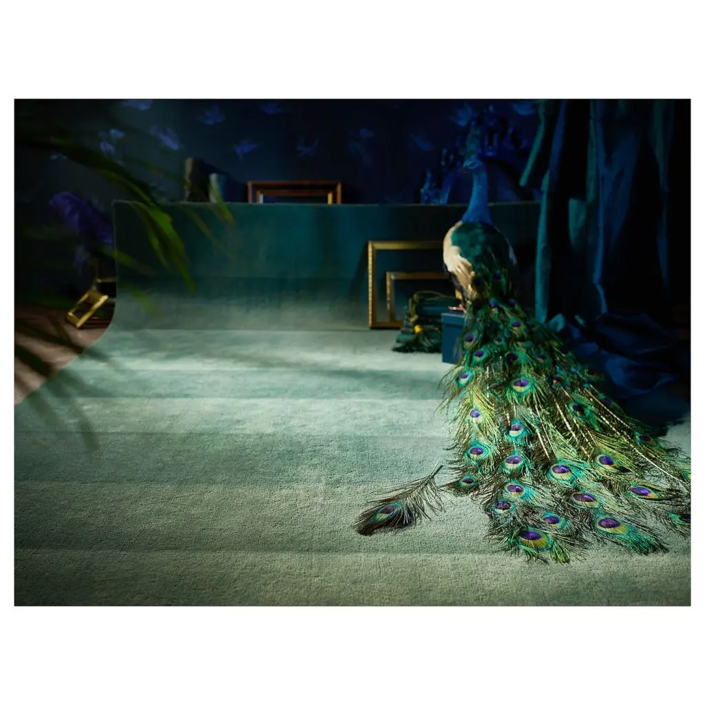 НОДЕБО — изображение 5