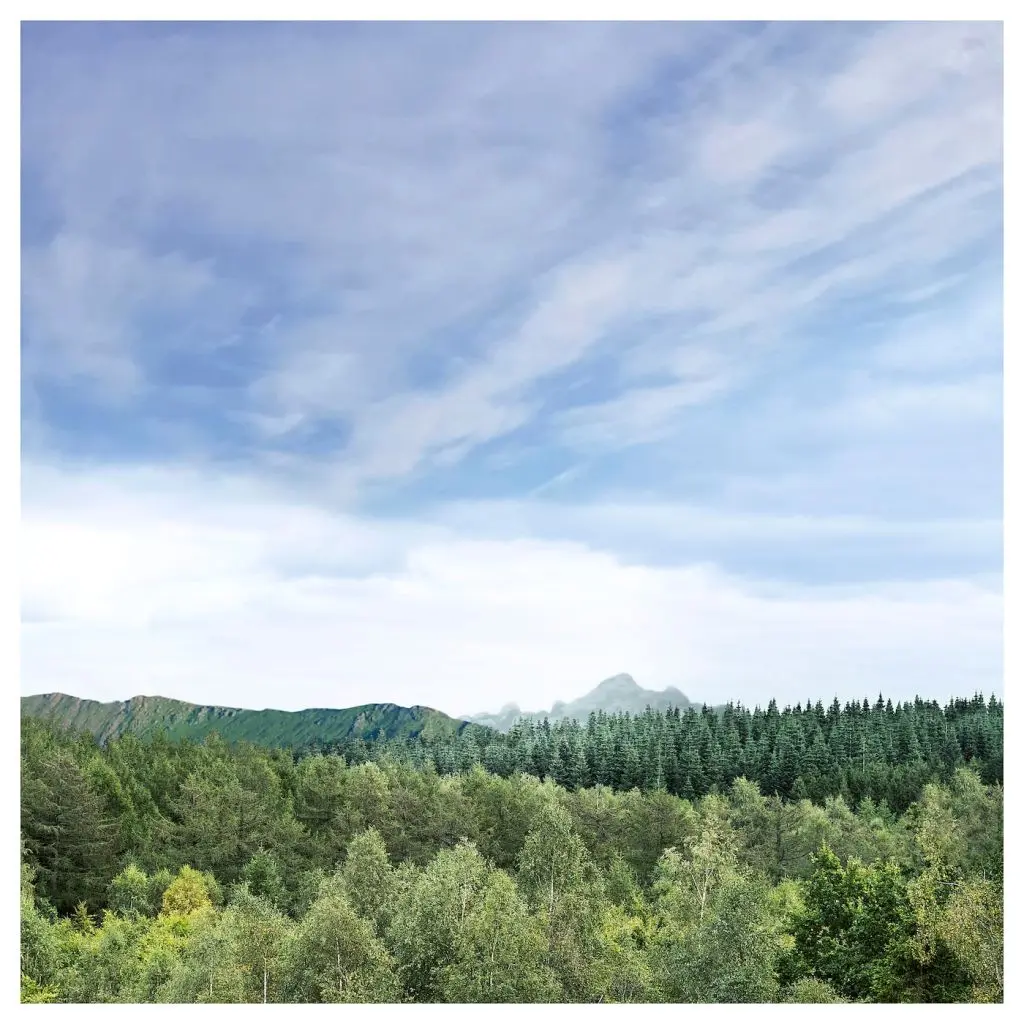 PÄRONTRÄD ПЭРОНТРЭД — изображение 7