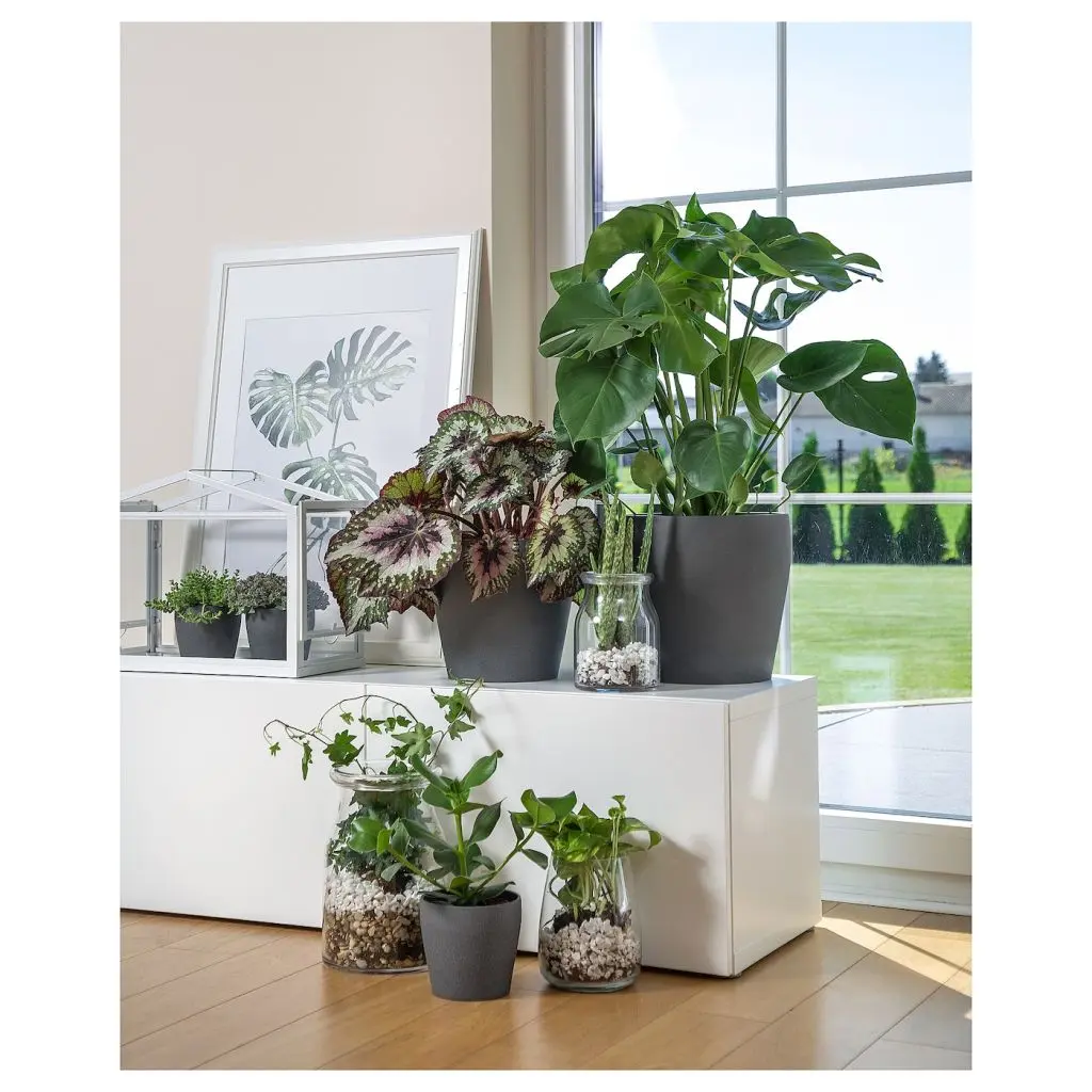 ПЕРСИЛЛАДЕ — изображение 6