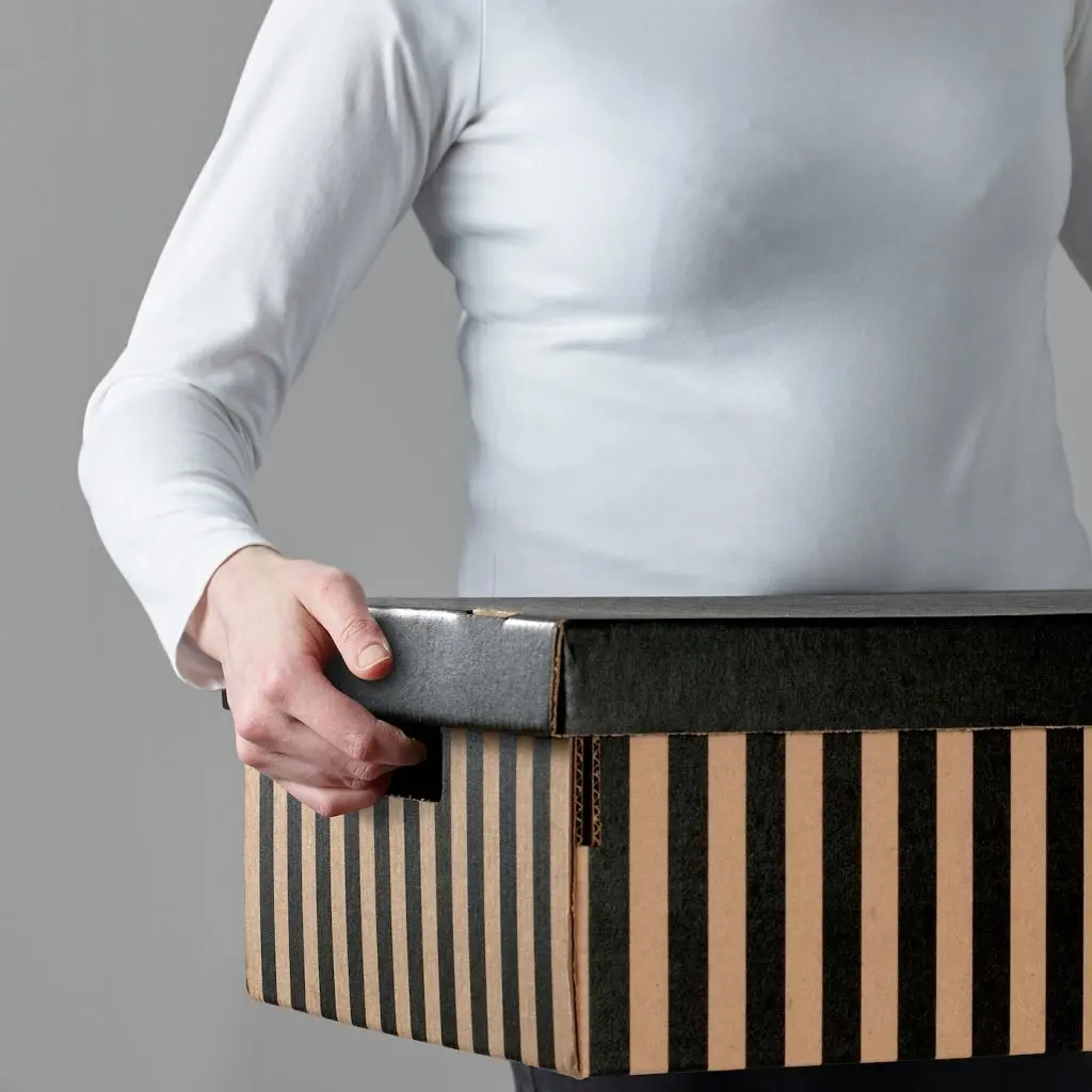 ПИНГЛА — изображение 3