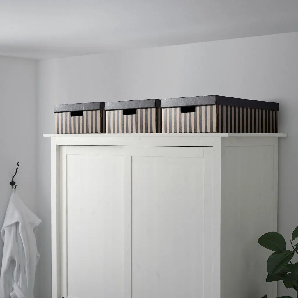 ПИНГЛА — изображение 2