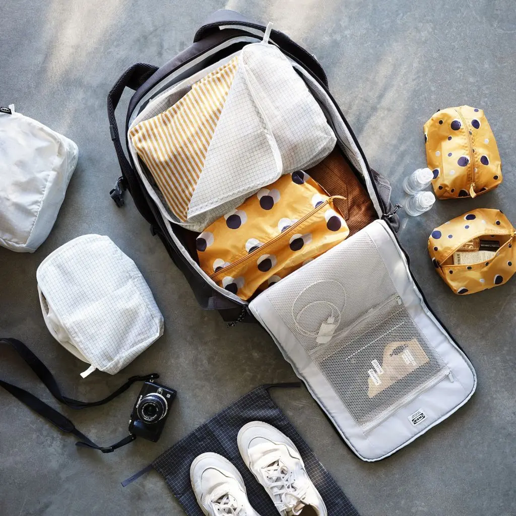 РЕНСАРЕ — изображение 3