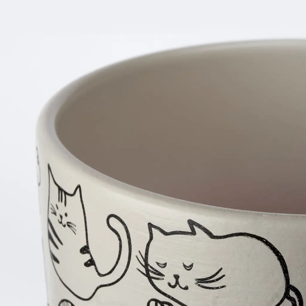 РУНДМИНТА — изображение 5