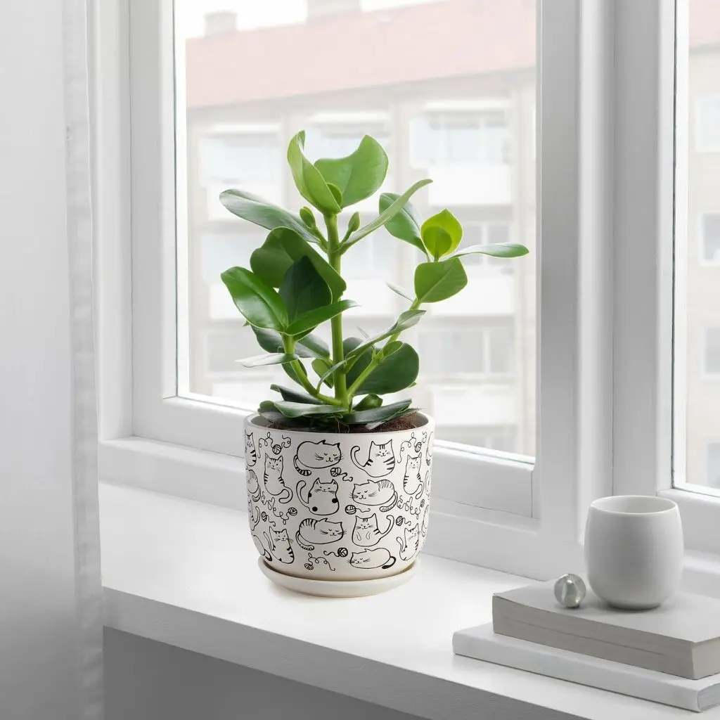 РУНДМИНТА — изображение 4