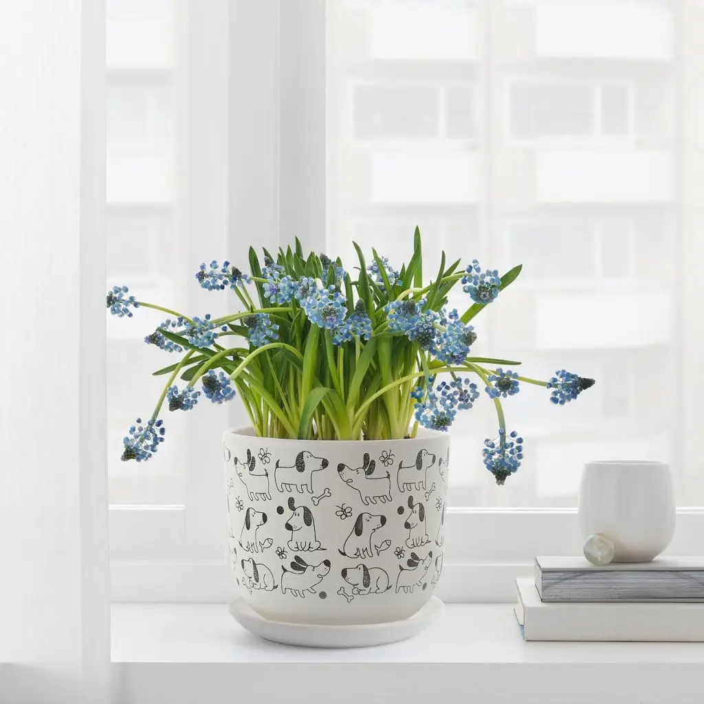 RUNDMYNTA РУНДМИНТА — изображение 4