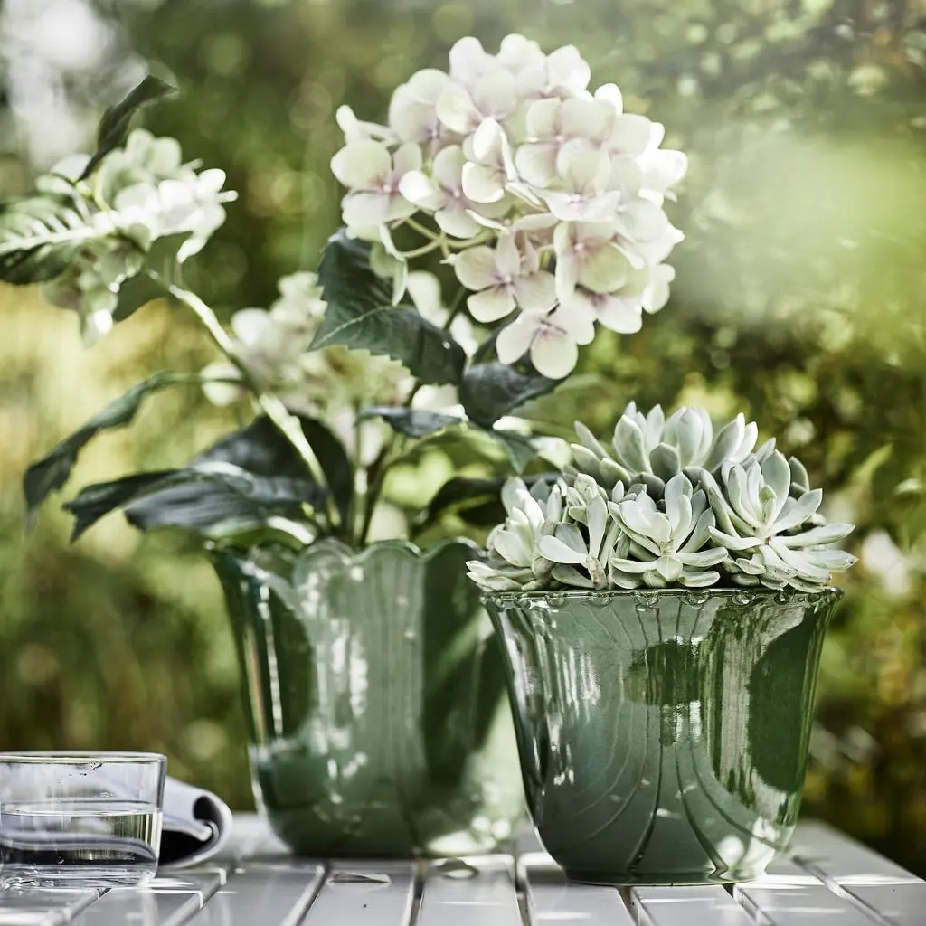 SHARONFRUKT ШАРОНФРУКТ — изображение 3