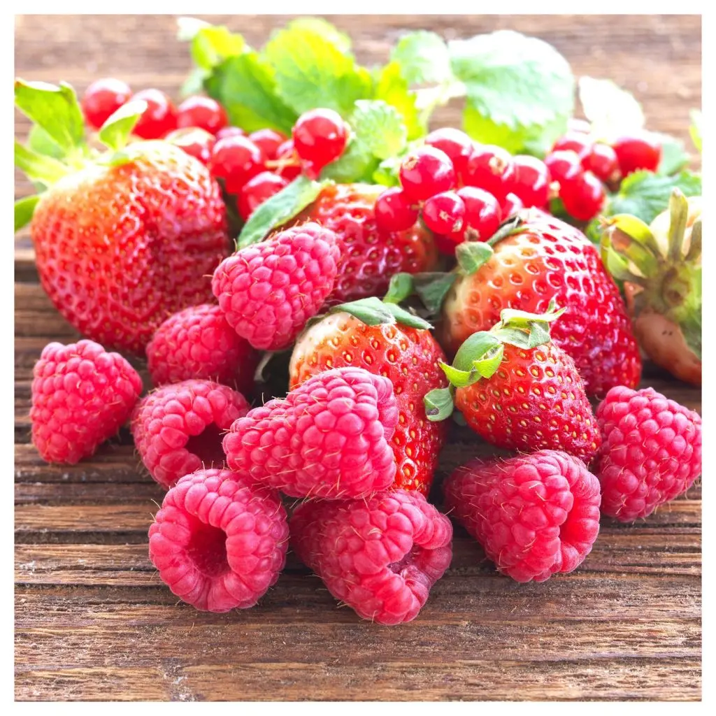 СИНЛИГ — изображение 3