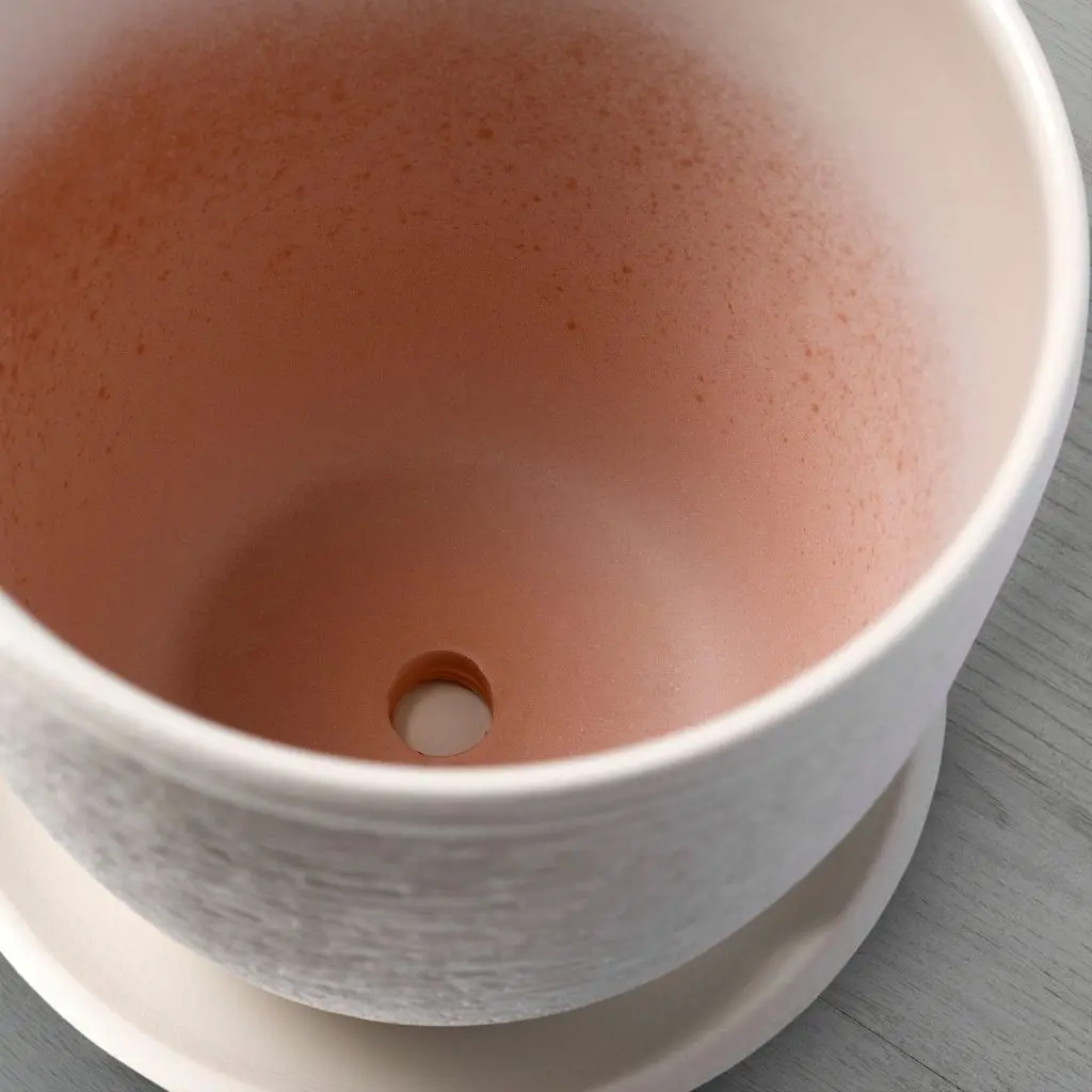 СКАКИГ — изображение 2