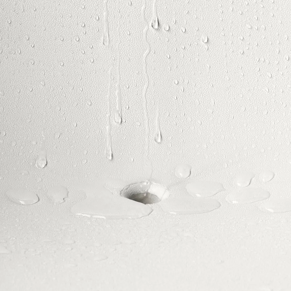 СКАРПО — изображение 2